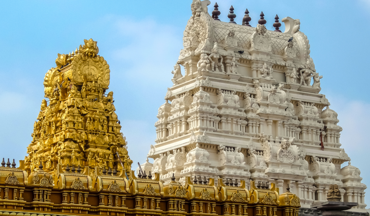 travaleoindia (1920 x 1280 px) (42)